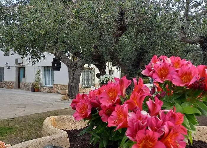 In Isabel Maison d'hôtes 4*