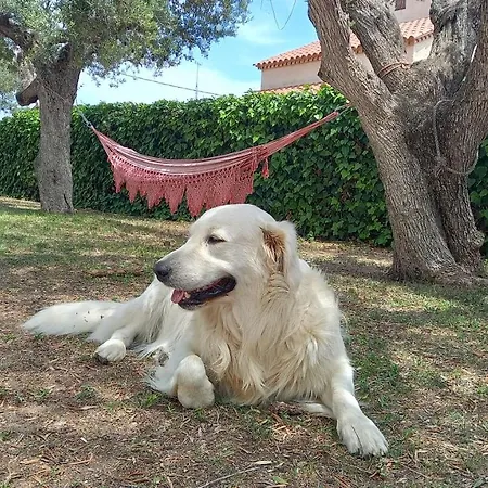 Pensión In Isabel Altafulla