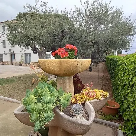 In Isabel Πανσιόν 4*
