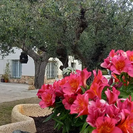 In Isabel Πανσιόν *