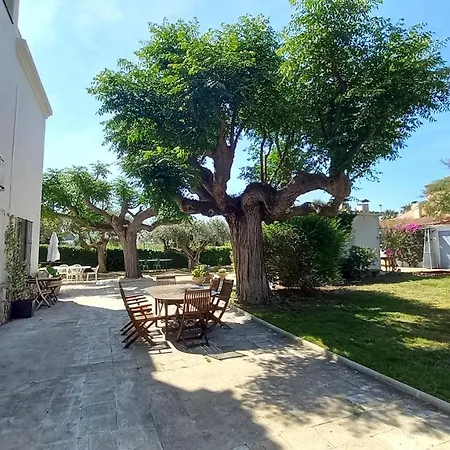 In Isabel * אלטפולה