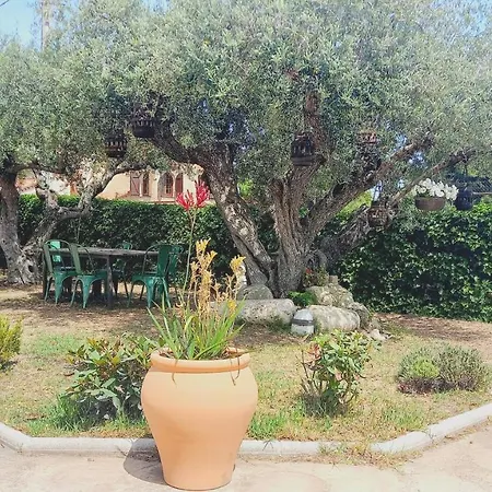 In Isabel * אלטפולה