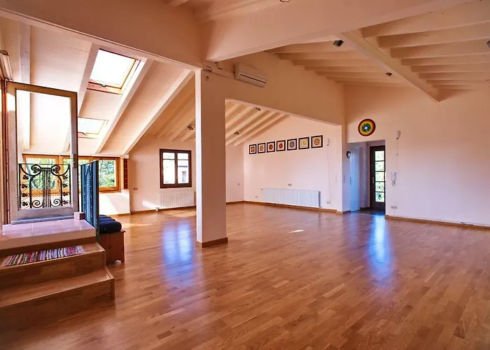 In Isabel 4*